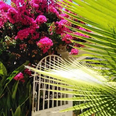 Vakantiehuis Casa Limona - Cozy Tropical Retreat In